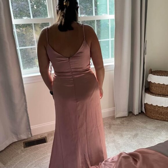 Birdey Grey Catherine Dress in Shiny Satin Desert Rose - Picture 6 of 7